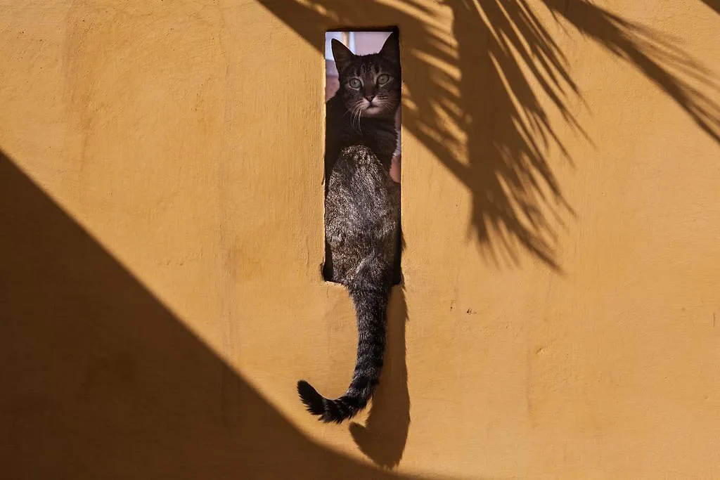 Hotel Dar Kleta Marakéš Riad