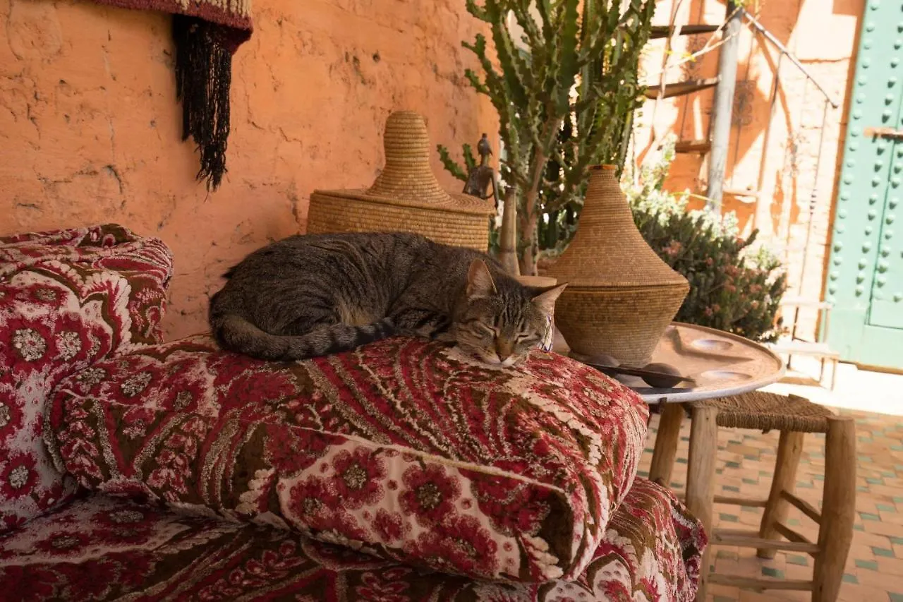 Hotel Dar Kleta Marrakesz Hotel typu riad