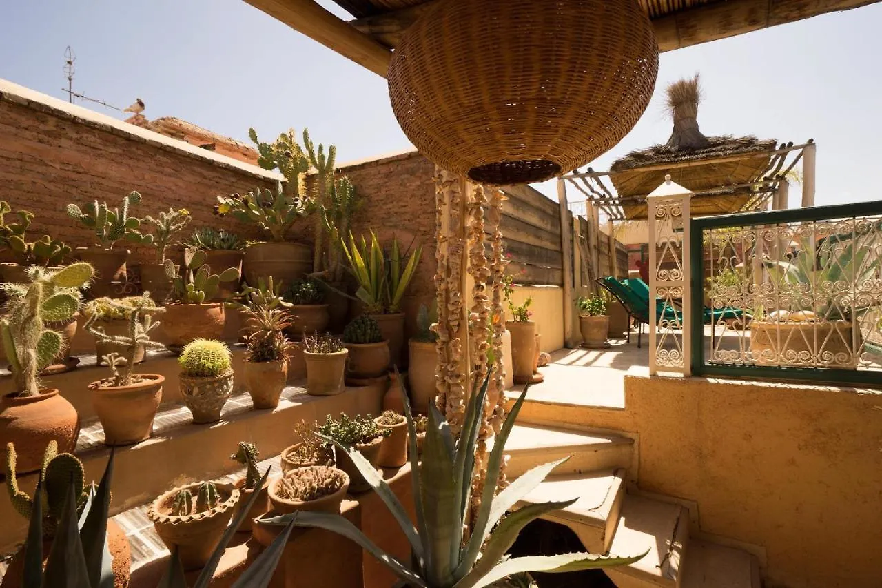Hotel typu riad Hotel Dar Kleta Marrakesz